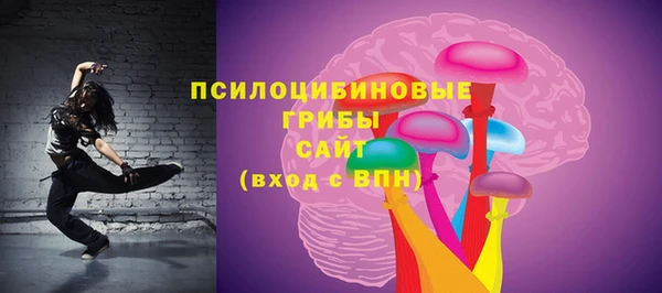 мет Ладушкин