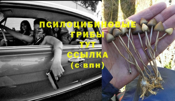 дурь Лагань