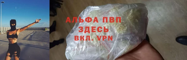ГАЛЛЮЦИНОГЕННЫЕ ГРИБЫ Лихославль