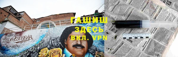 мет Ладушкин