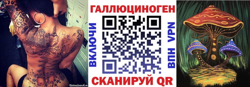 купить закладку  Щёлкино  Псилоцибиновые грибы мицелий 